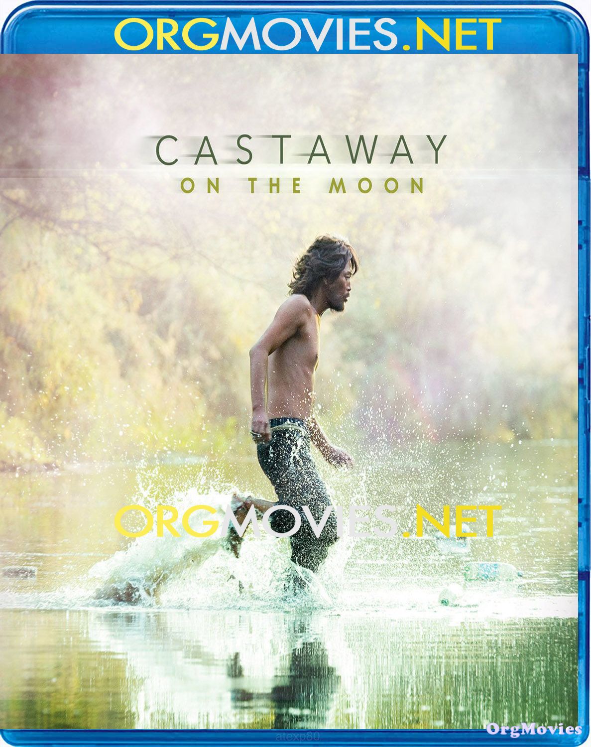 Castaway on the Moon 2009 Hindi Dubbed Movie