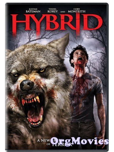 Hybrid 2007 Hindi Dubbed full Movie
