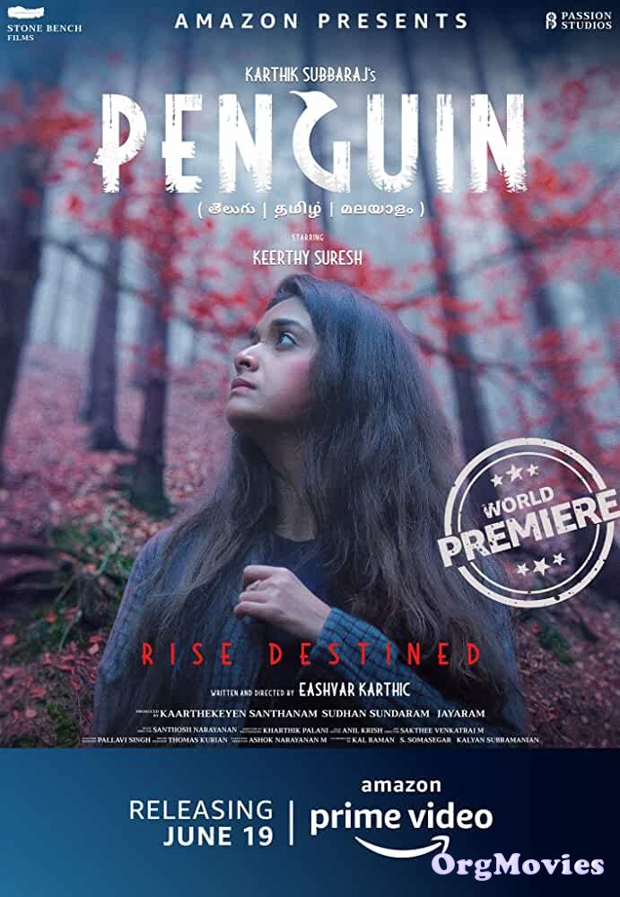 Penguin 2020 Hindi Dubbed Full Movie