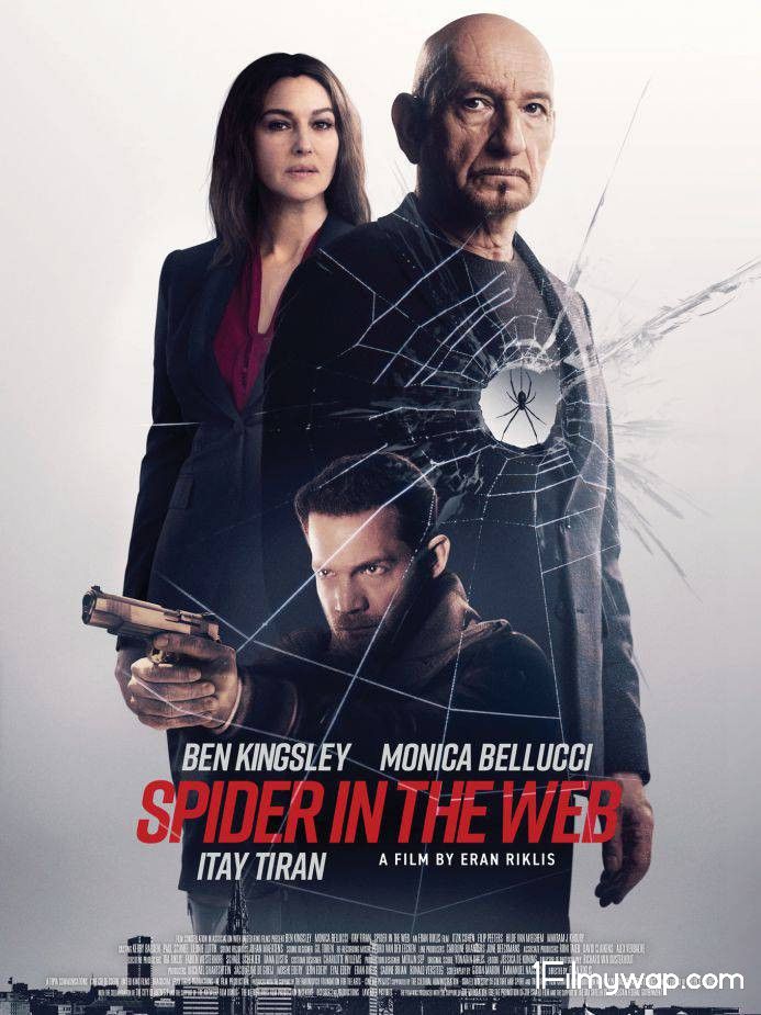 Spider in the Web 2019 HDRip Hindi Dubbed