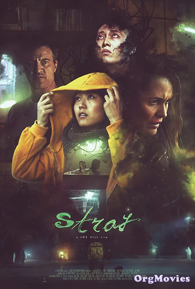 Stray 2019 HDRip Hindi Dubbed