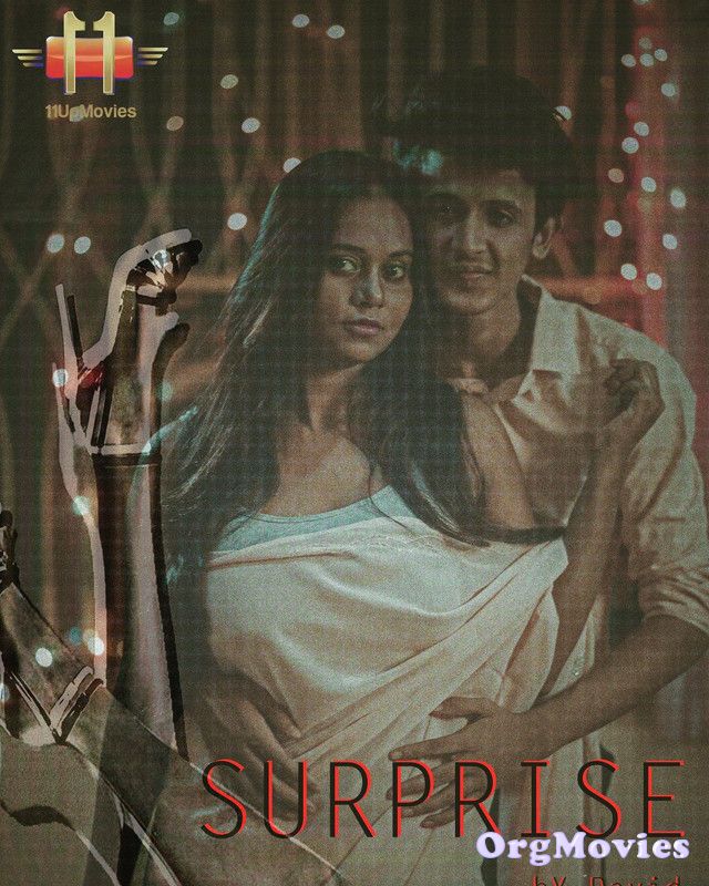 Surprise 2020 S01E02 Hindi 11UpMovies Web Series