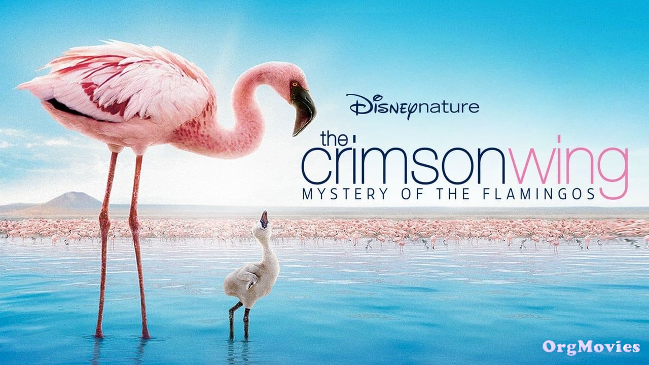 The Crimson Wing: Mystery of the Flamingos 2008 Hindi Dubbed Movie